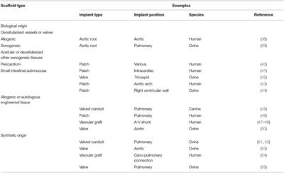 Tissue Engineered Materials in Cardiovascular Surgery: The Surgeon's Perspective